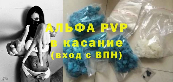 стафф Алексин