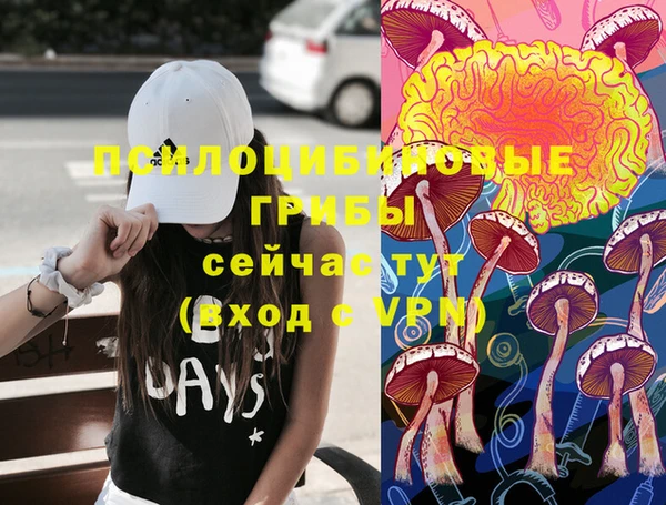 шишки Абдулино