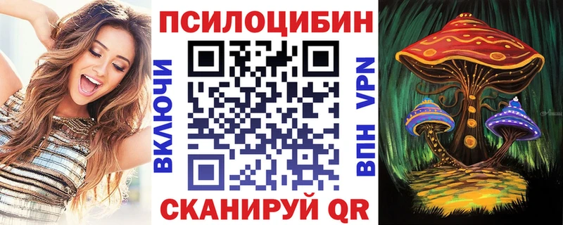 дарнет шоп  Рыльск  Галлюциногенные грибы Psilocybine cubensis 